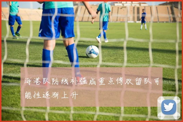 海港队防线补强成重点傅欢留队可能性逐渐上升