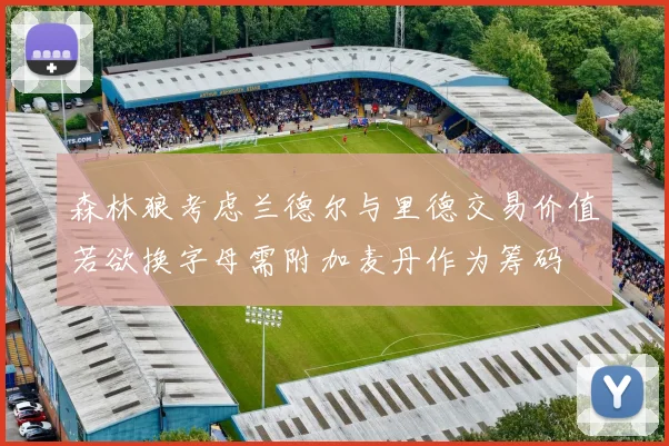 森林狼考虑兰德尔与里德交易价值若欲换字母需附加麦丹作为筹码